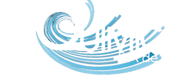 R Química